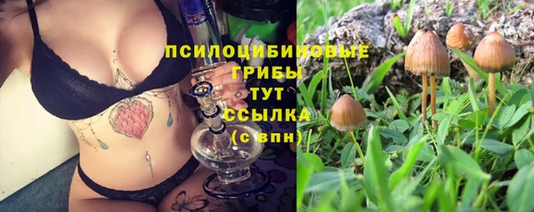 mdma Козельск