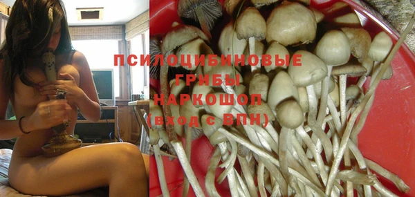 меф Кинешма