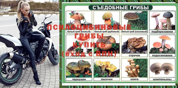 амфетамин Козловка