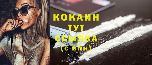 гидра Касимов