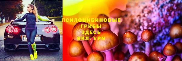молекула духа Киренск