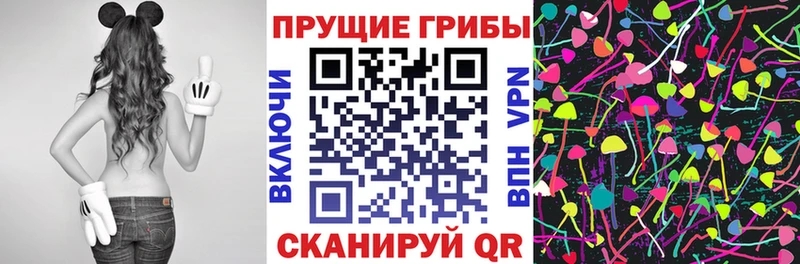 Галлюциногенные грибы MAGIC MUSHROOMS  Котовск 