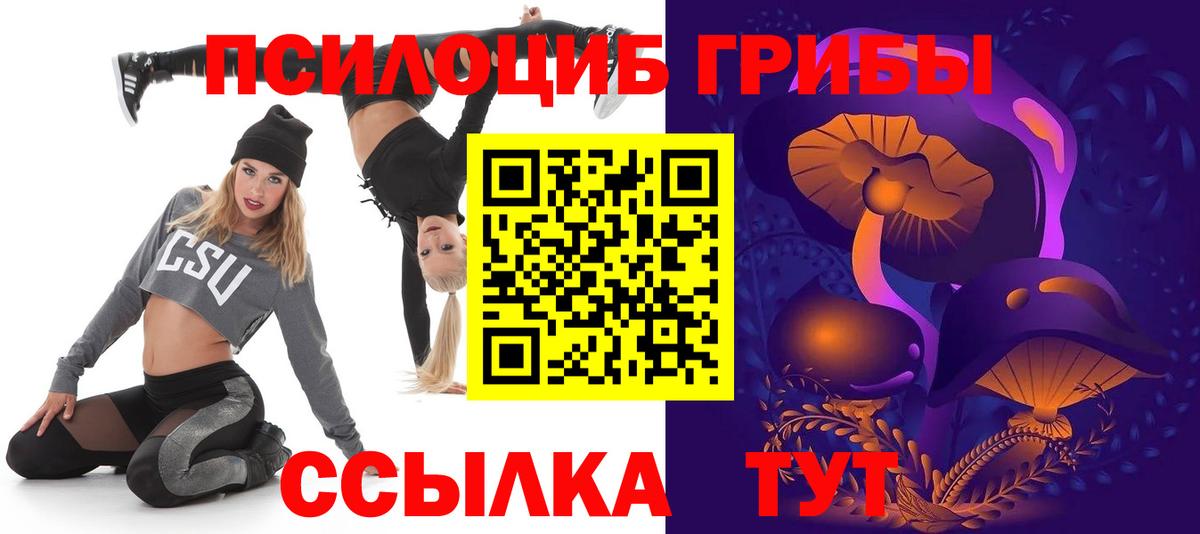 Галлюциногенные грибы GOLDEN TEACHER  Вход с VPN  Котовск  Галлюциногенные грибы Psilocybine cubensis 